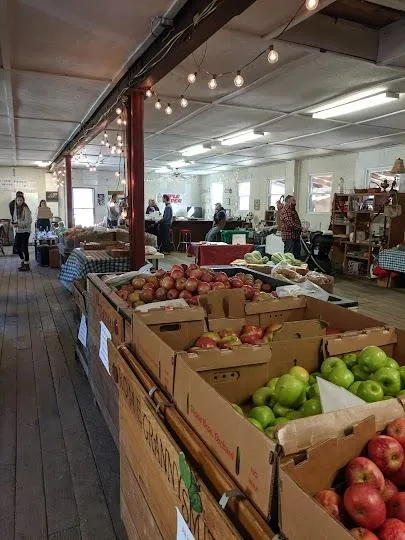 Apple Picking at Dickie Brothers Orchard