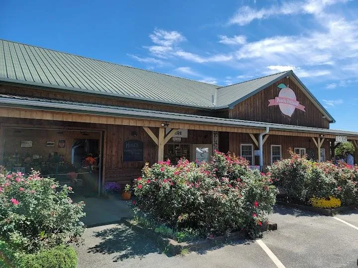 Chiles Peach Orchard and Farm Market