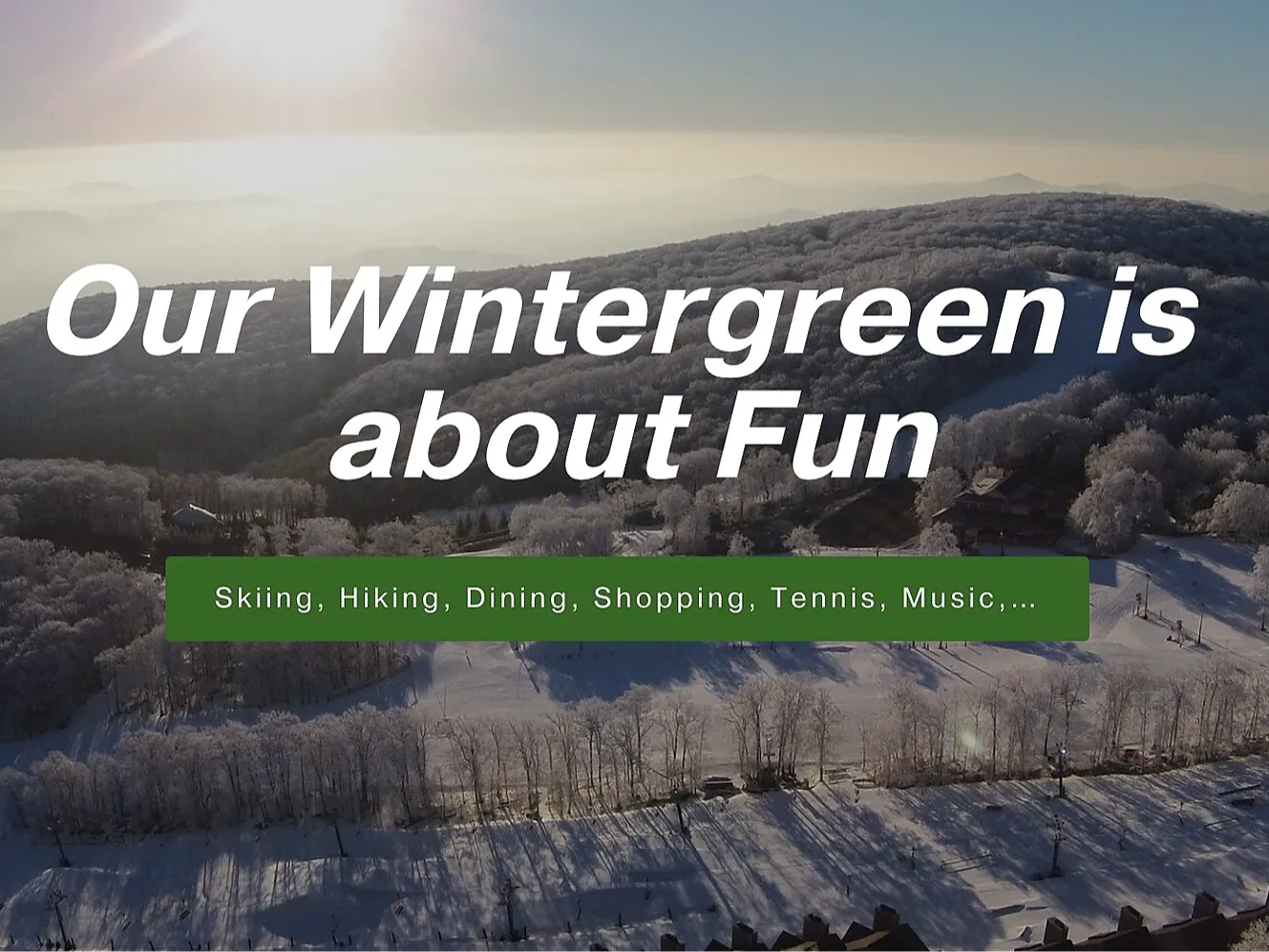 Wintergreen Website