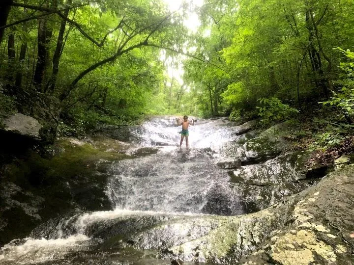 Pauls Creek Trail