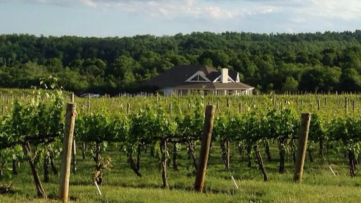 Pollak Vineyards