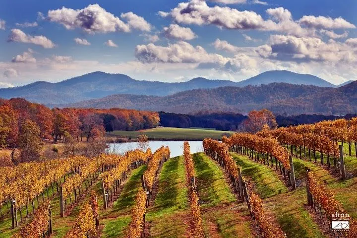 Afton Mountain Vineyards