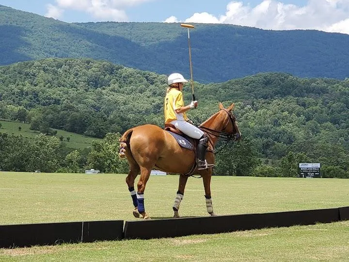 Polo at King Family Vineyards