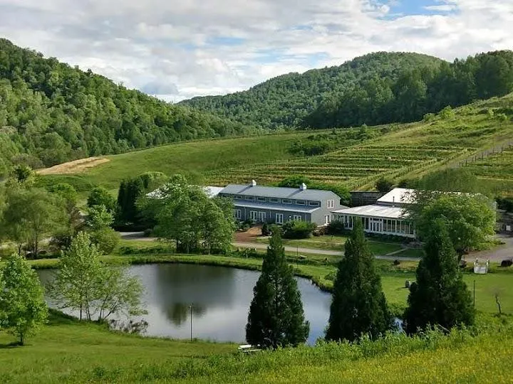 Delfosse Vineyards & Winery