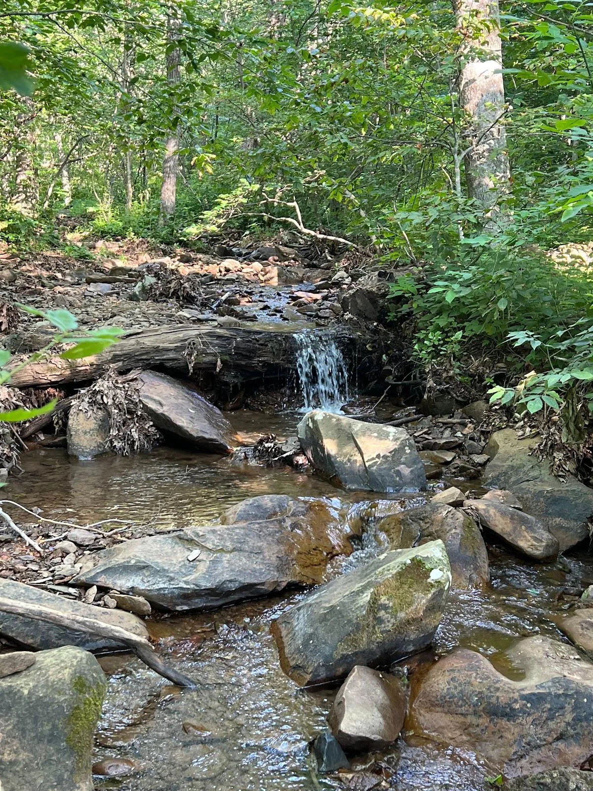 Shamokin Springs Nature Preserve
