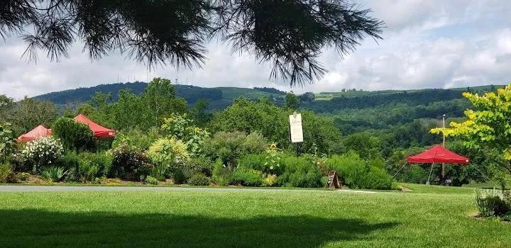Jefferson Vineyards