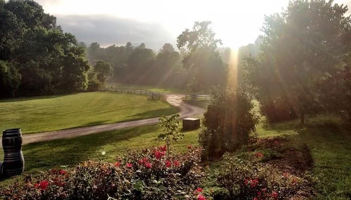Cardinal Point Winery