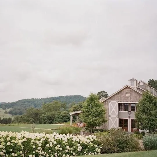 Pippin Hill Farm & Vineyards
