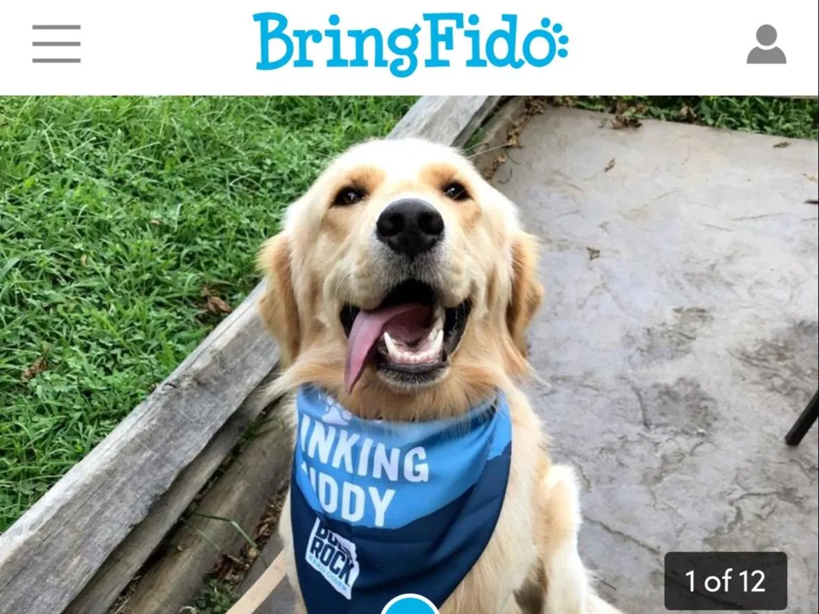 Dog Friendly Ideas :)