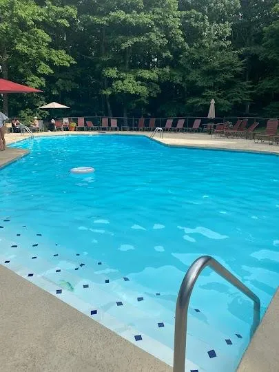 Chestnut Springs Pool